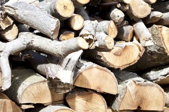 A pile of logs is stacked on top of each other.