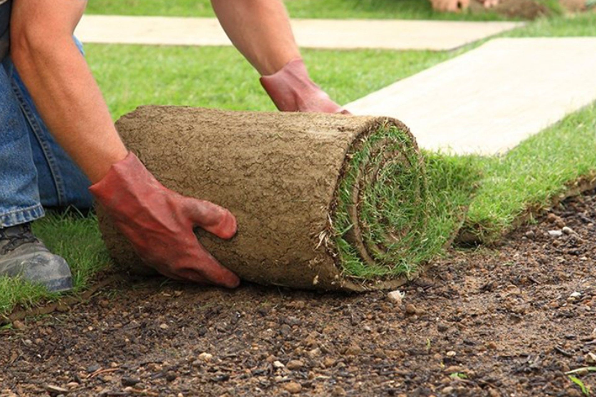 Landscape renovation