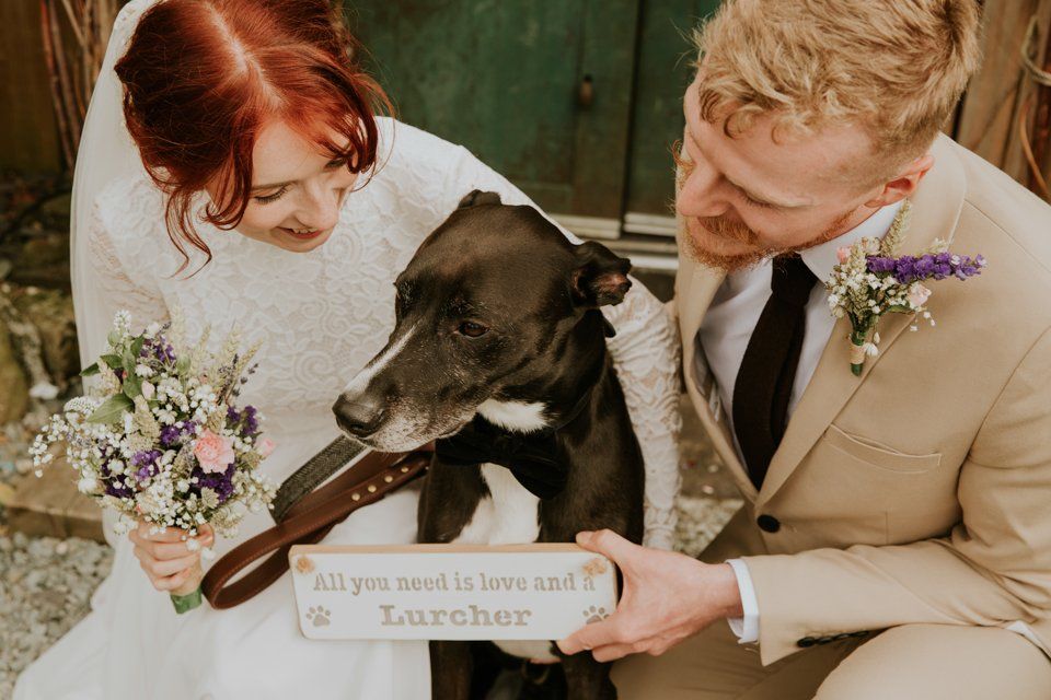 Bride and groom cuddling their dog and smiling