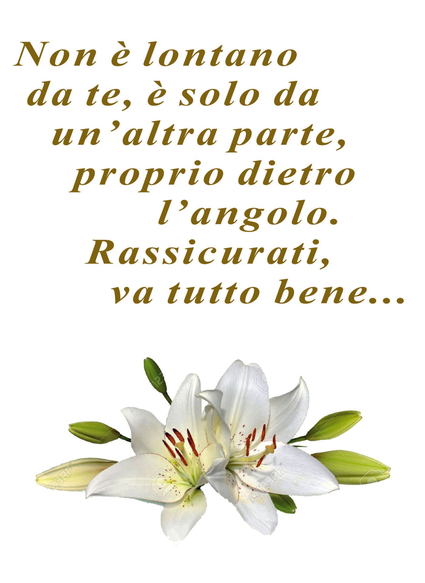 necrologio Domenico Zadera