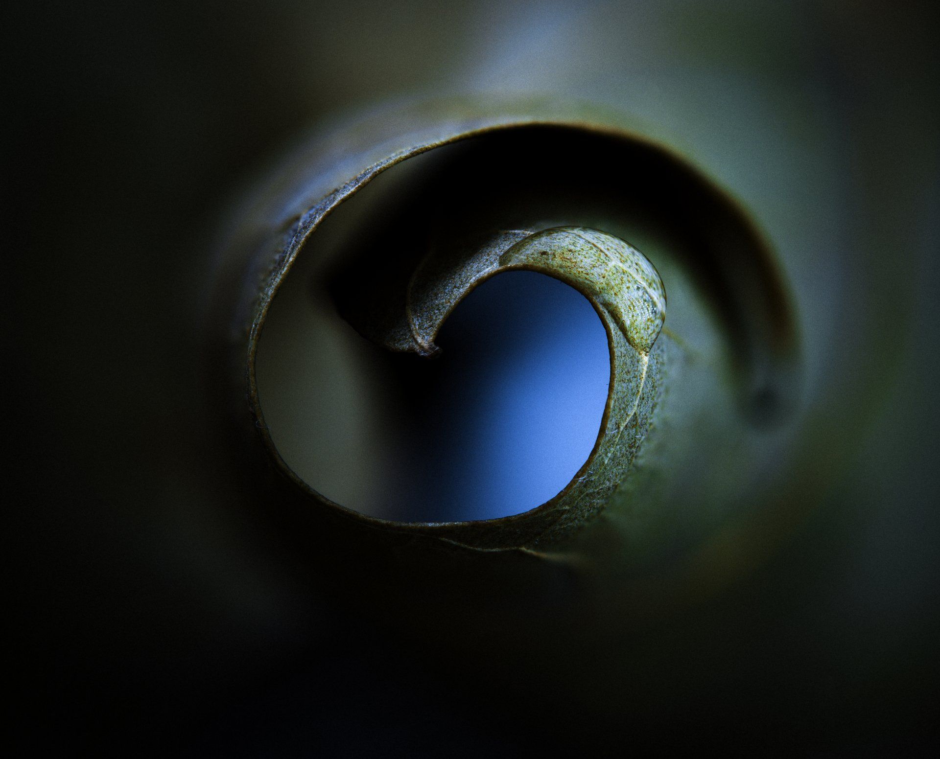 A close up of a metal object with a blue background