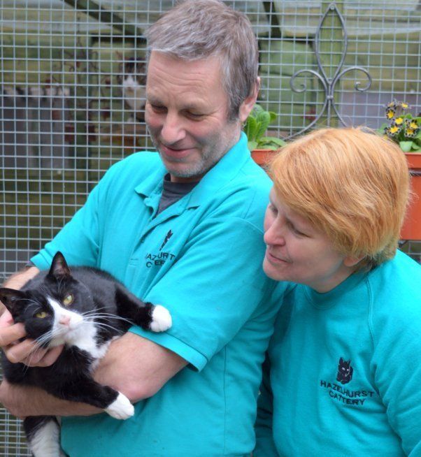 cattery