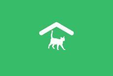 Our Cattery