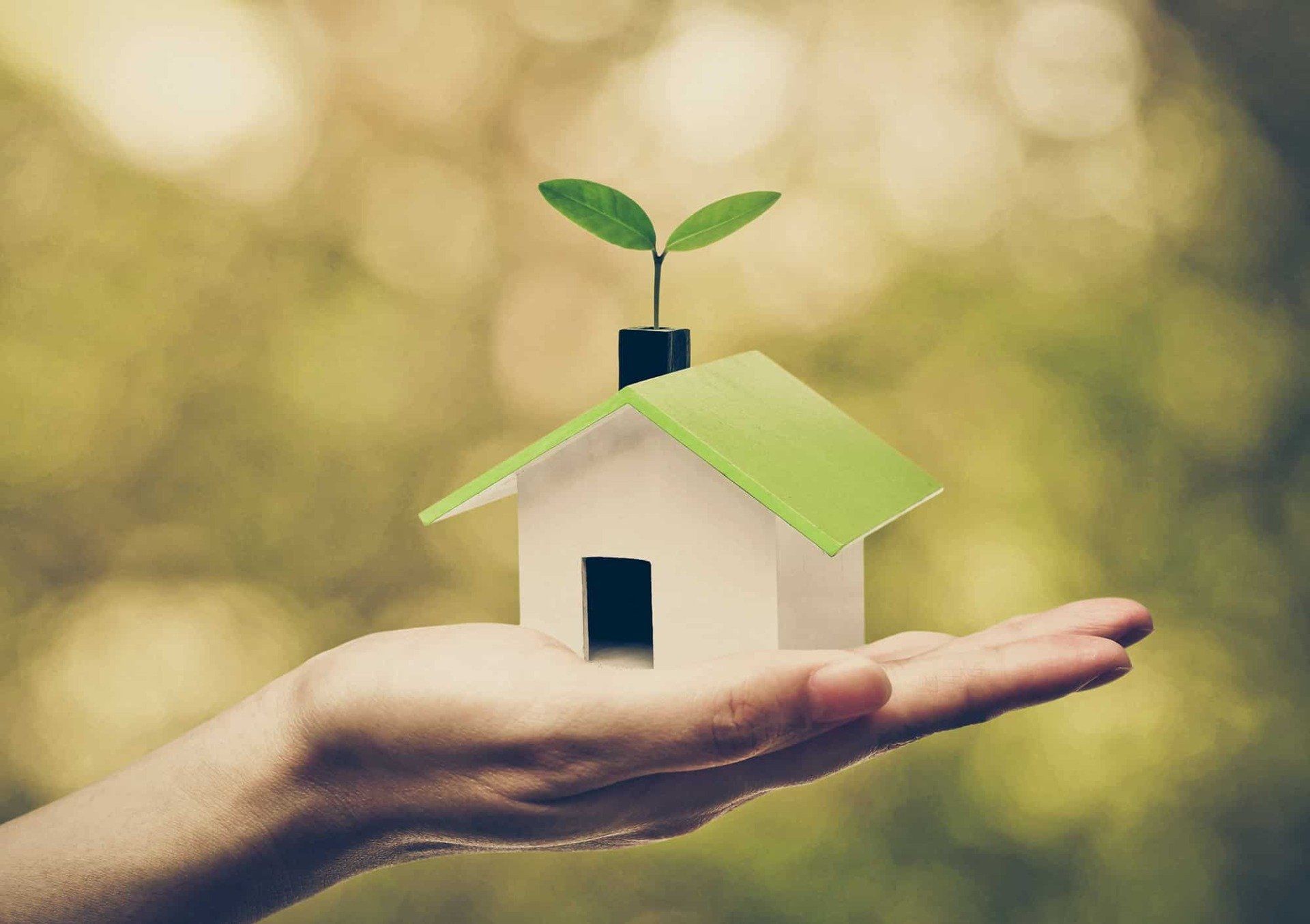 Building A Forever Home Near Bainbridge Island, Washington (WA) including healthy building materials