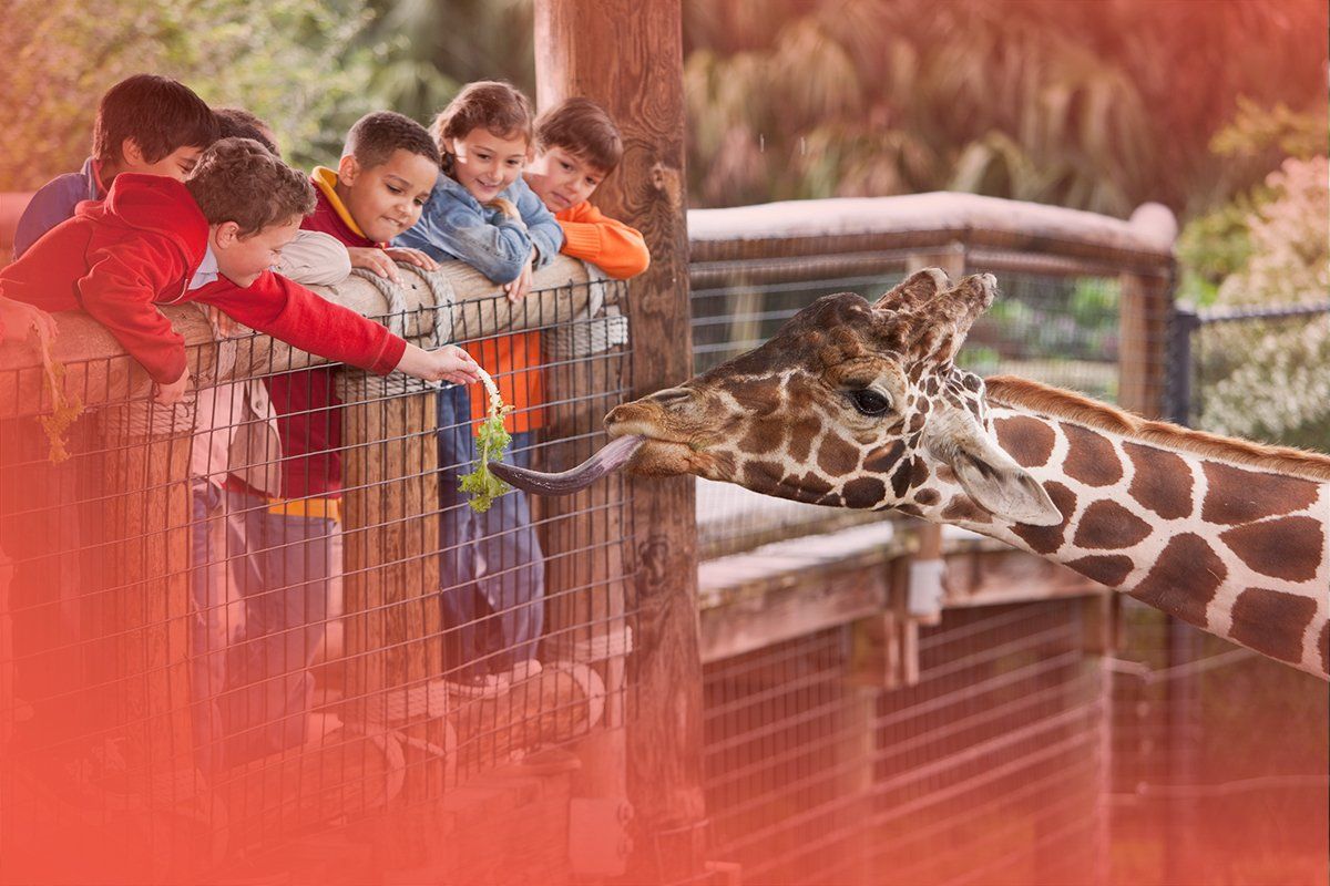 Kids at Zoo