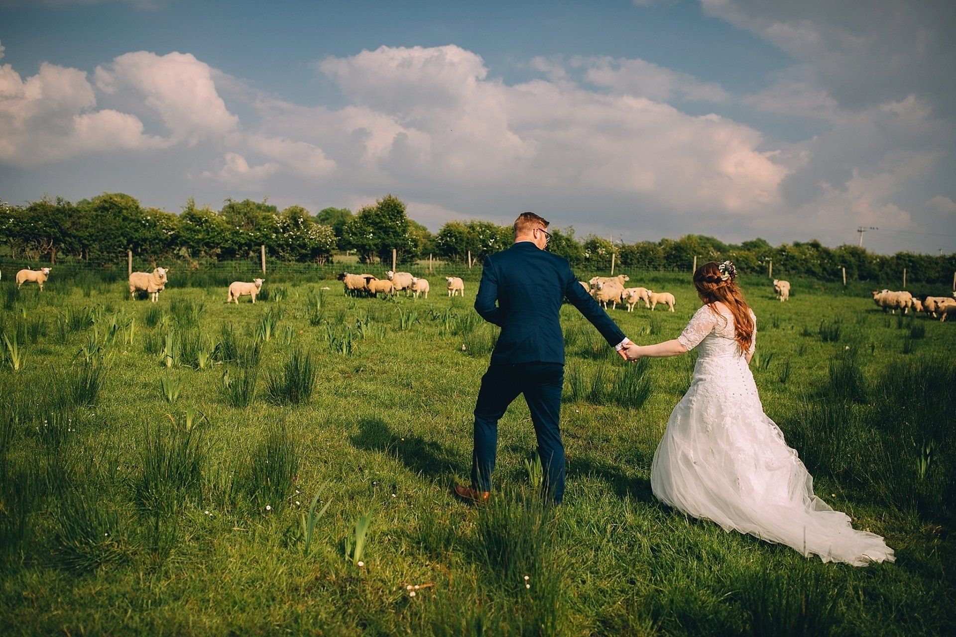Couple in wedding attire walk hand-in-hand through a grassy field with sheep, under a cloudy sky.