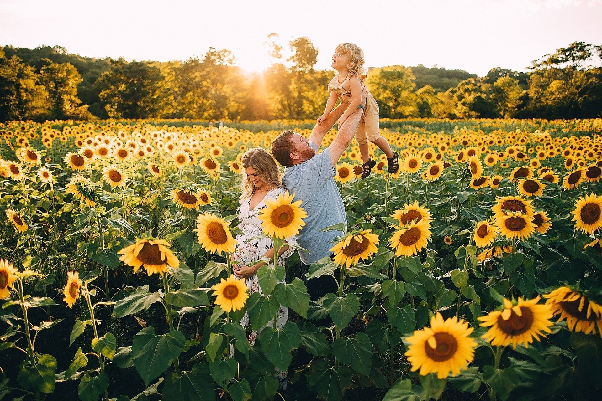 Family in a sunflower field, the father tossing a child in the air, sunset in the background.