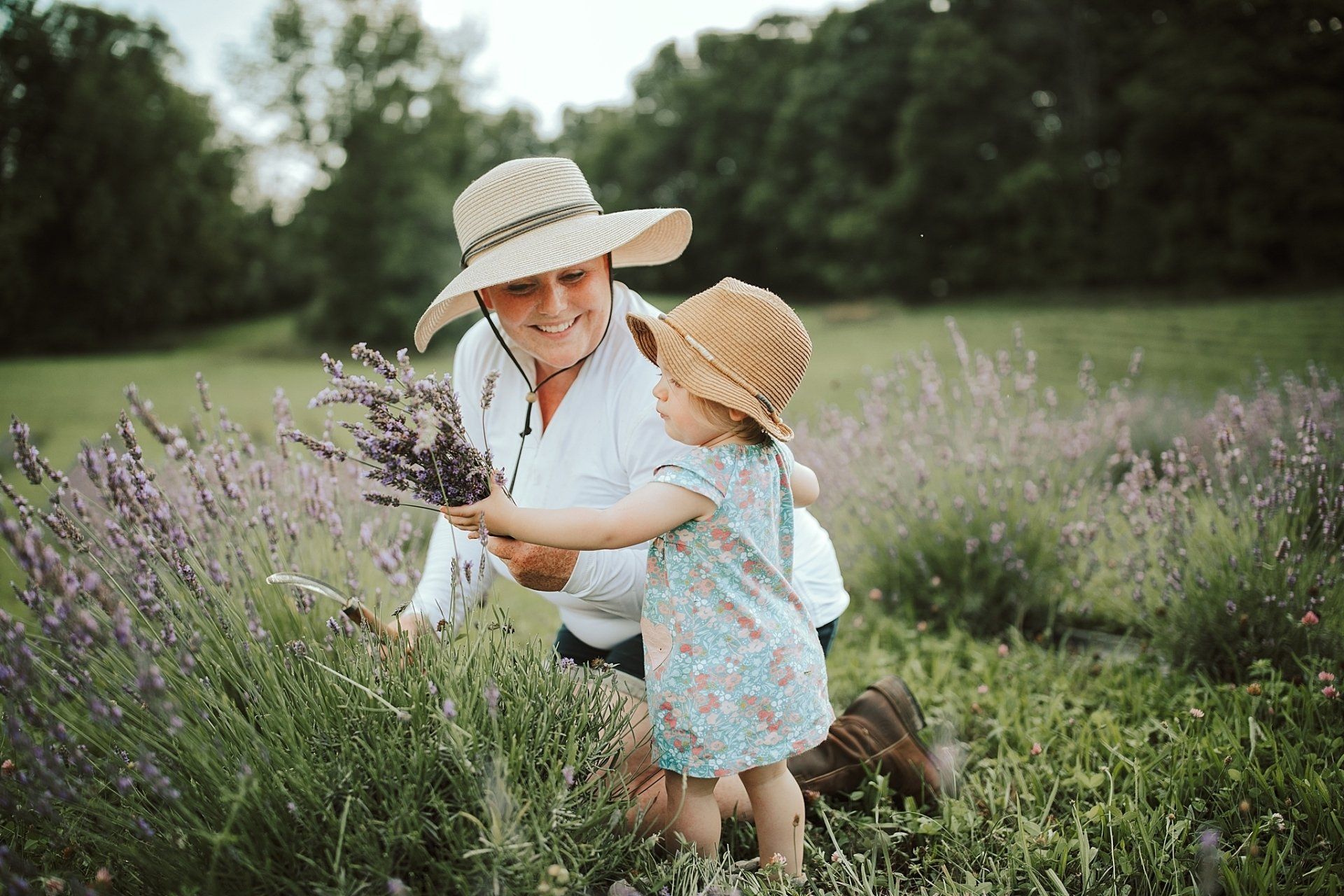 Woman and child picking lavender in a field, both wearing straw hats.