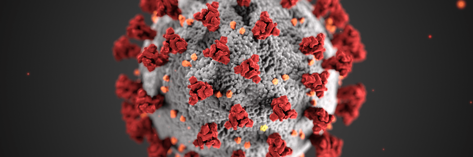 Illustration of the COVID-19 virus