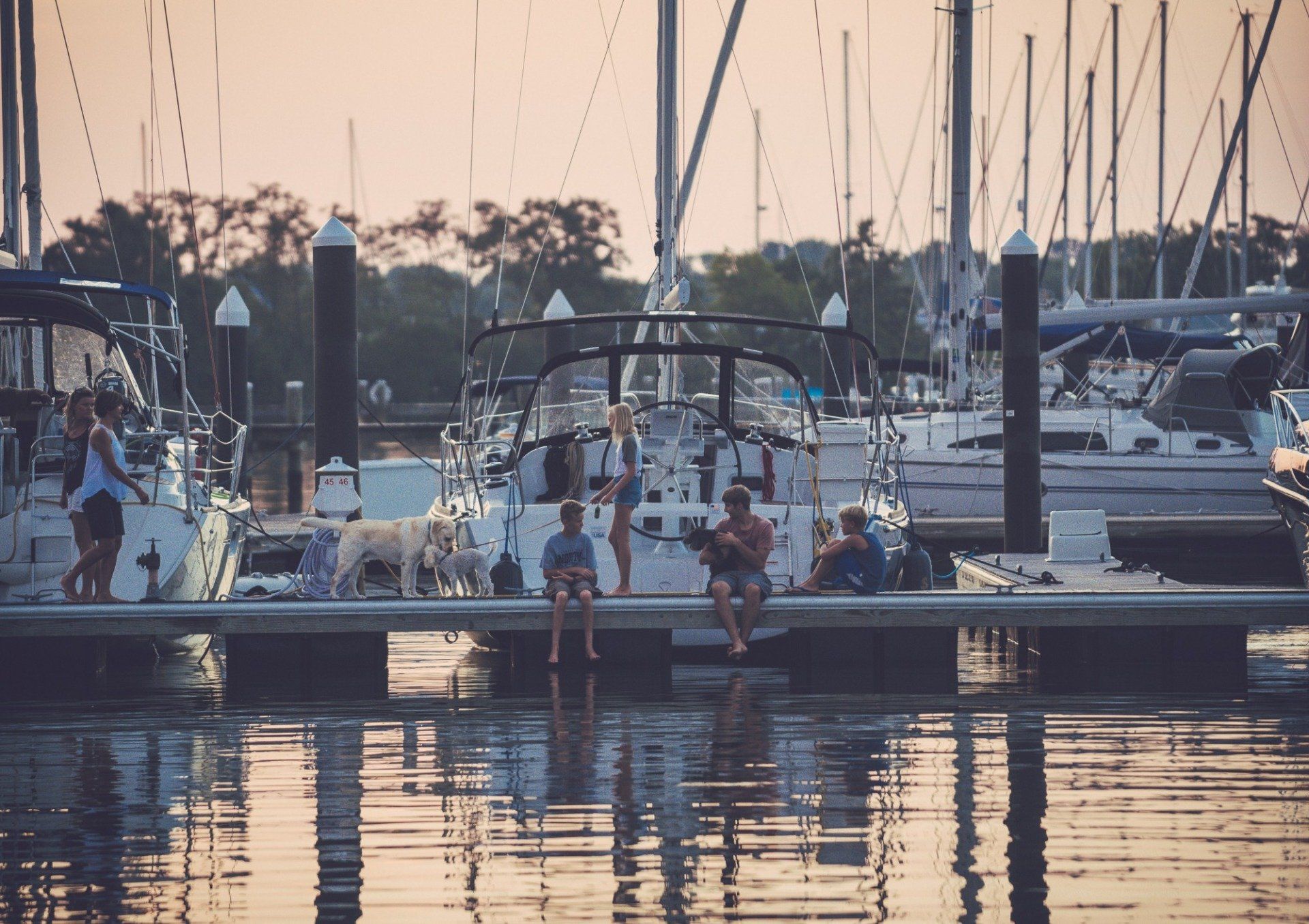 Children and dogs play on a dock with sailboat in the background