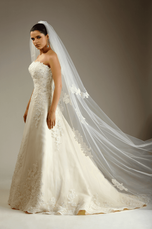 Stunning wedding dress