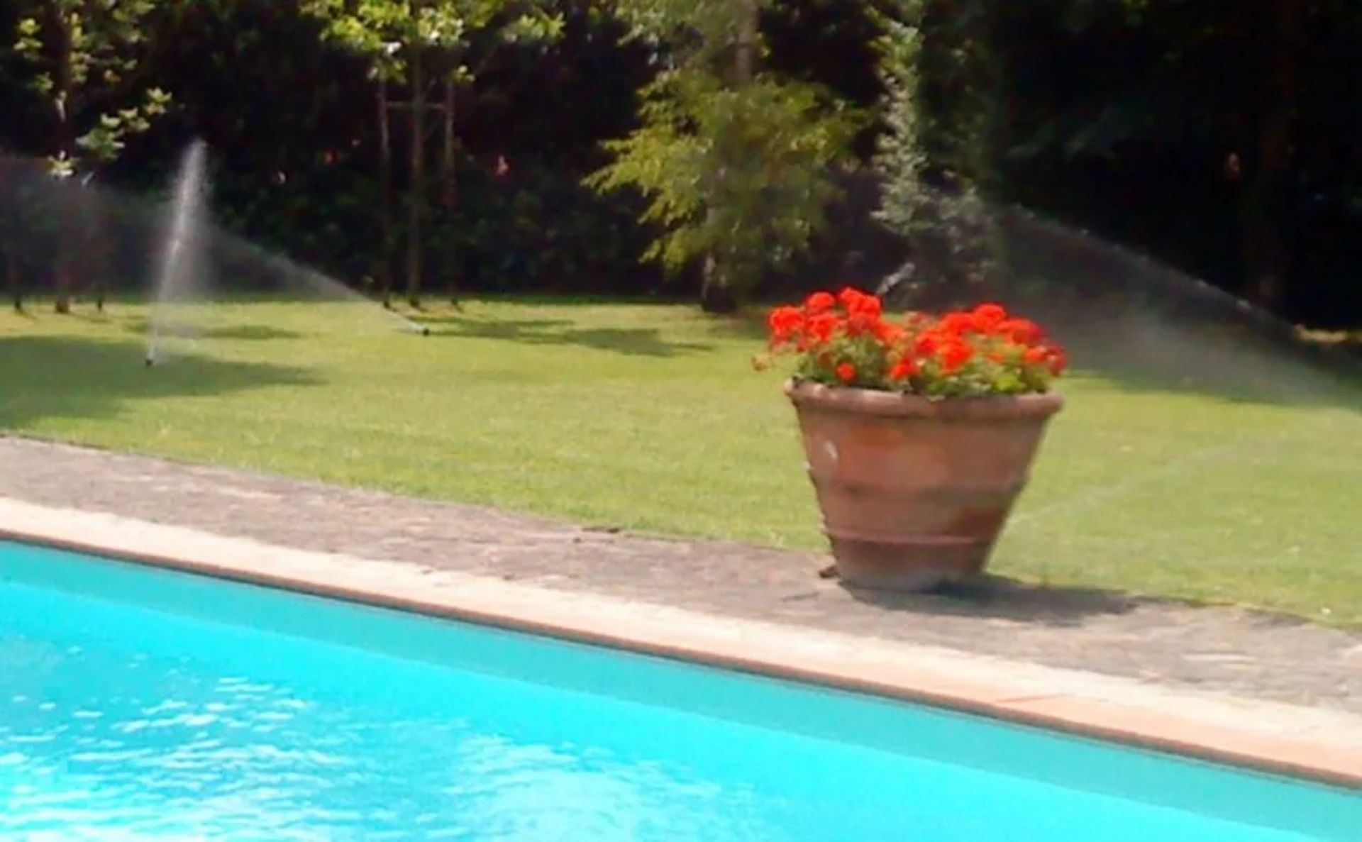Un vaso di terracotta con fiori rossi è appoggiato su un prato accanto a una piscina, mentre degli irrigatori innaffiano l'erba.