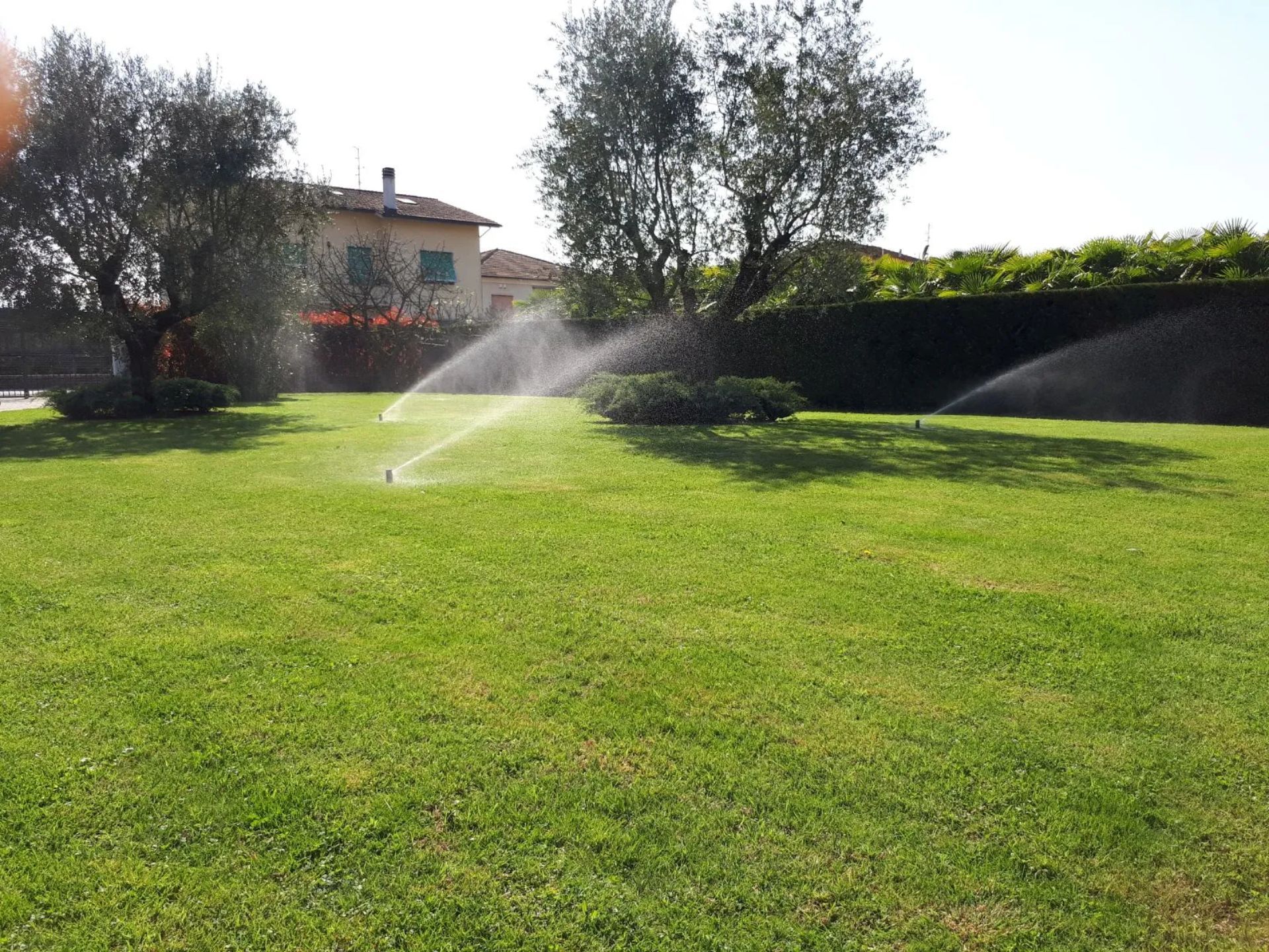 Irrigatori che irrigano il prato verde di fronte a una casa con alberi e cespugli.
