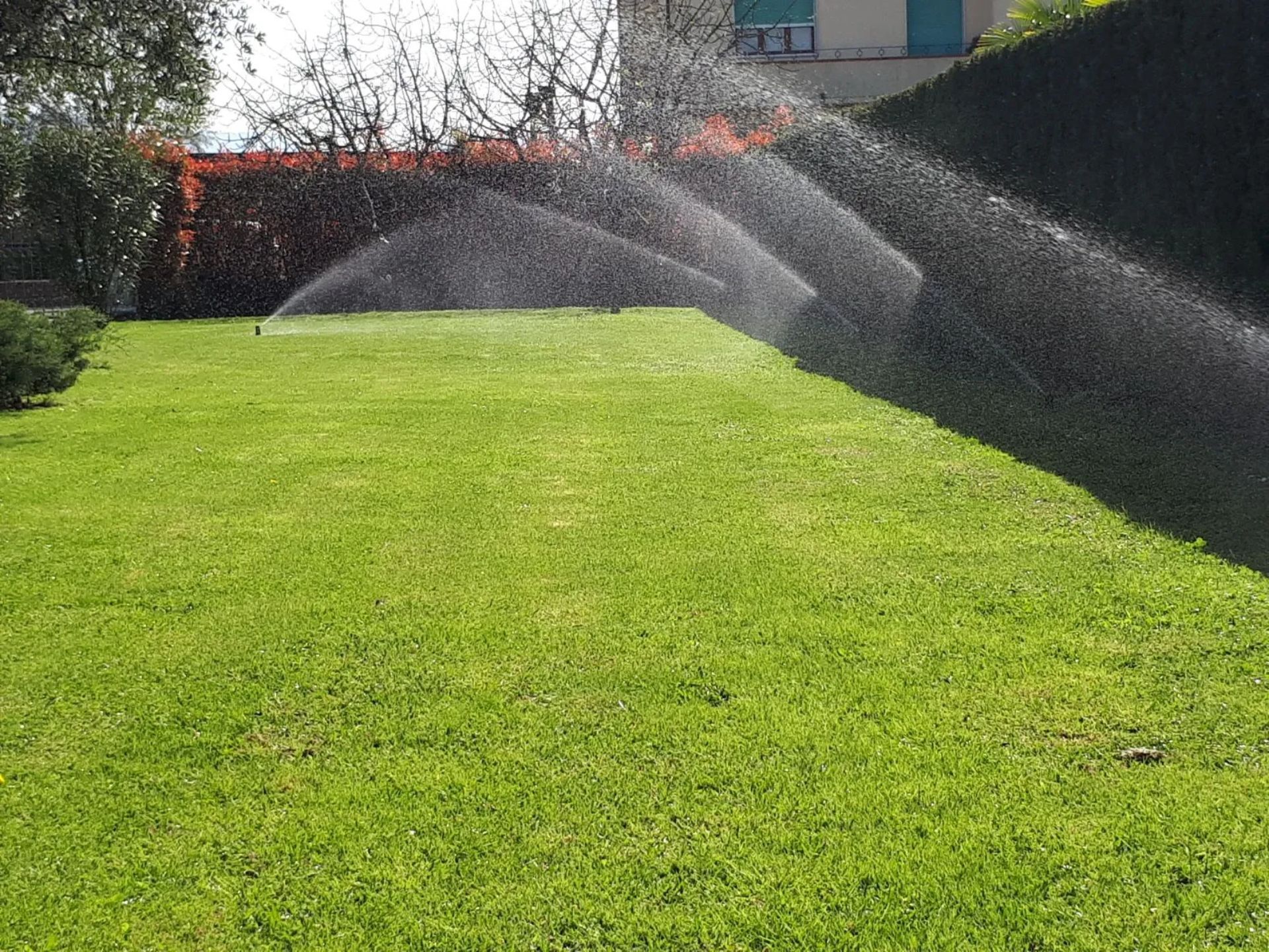 Irrigatori da giardino che irrigano un prato verde brillante in una giornata di sole.