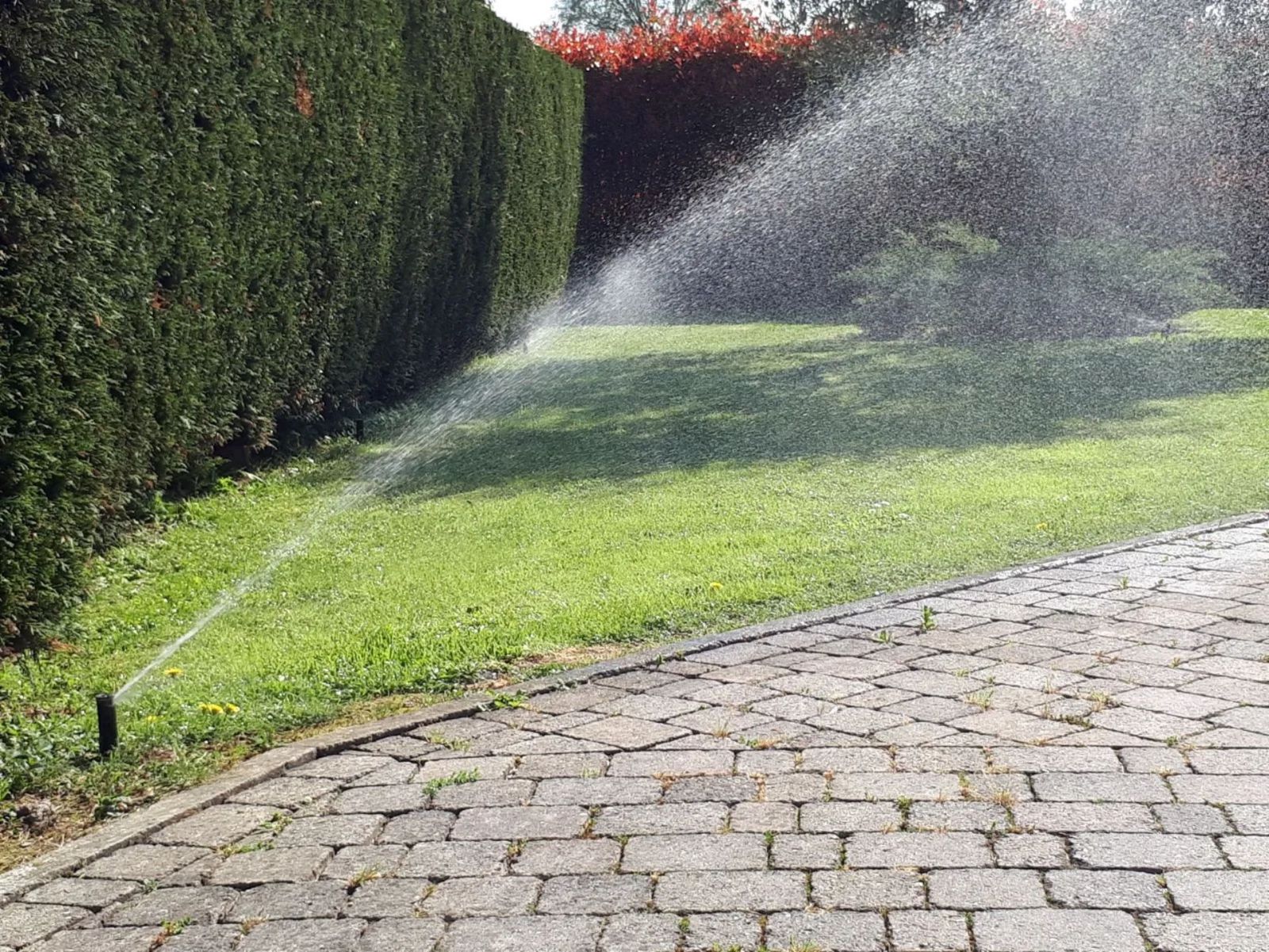 Irrigatore che irriga il prato verde accanto a un sentiero in mattoni e una siepe.