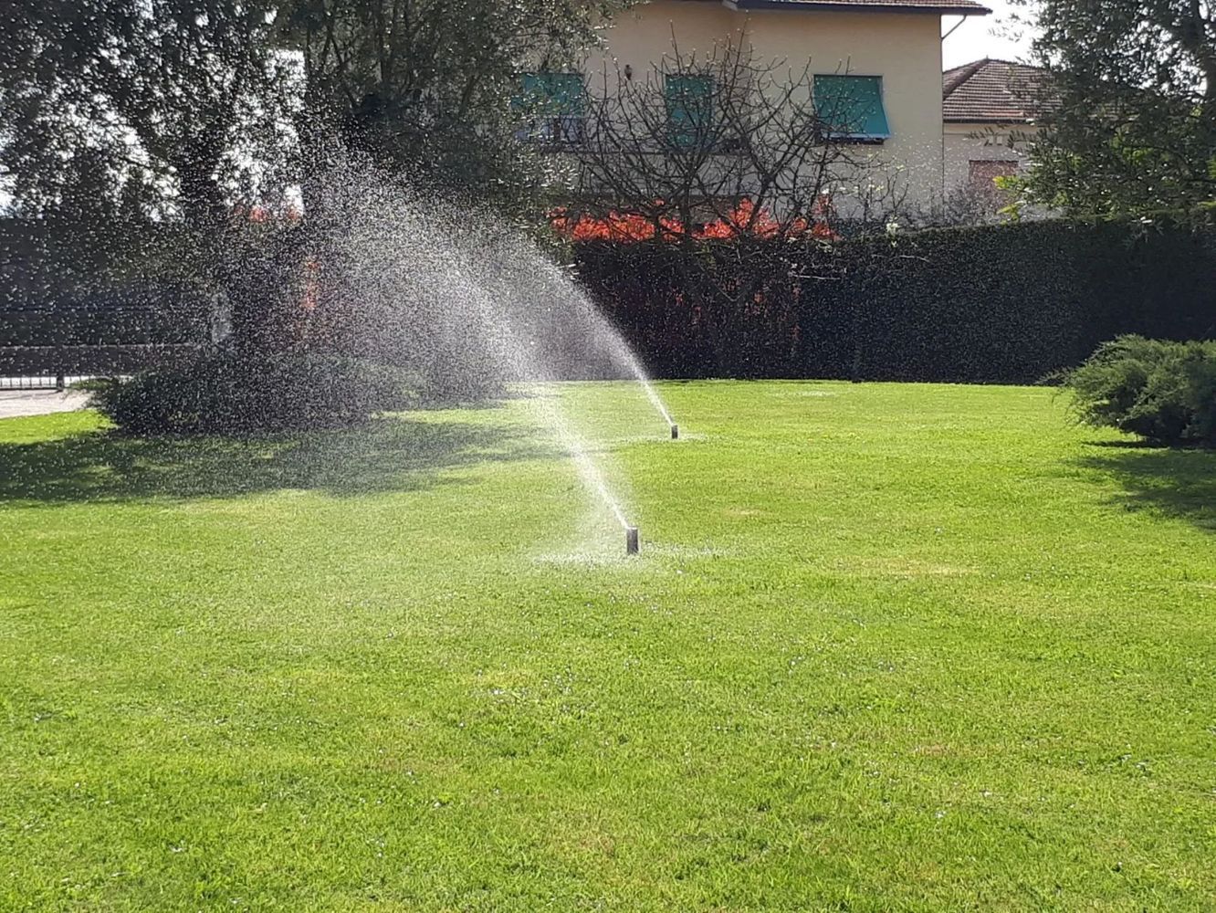 Irrigatori che irrigano un rigoglioso prato verde in un parco con un edificio e cespugli sullo sfondo.