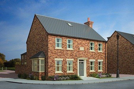 Brood Mare House