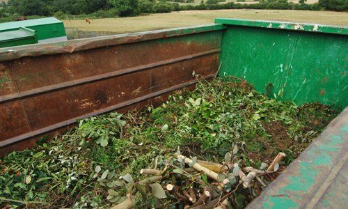 Garden cleaning