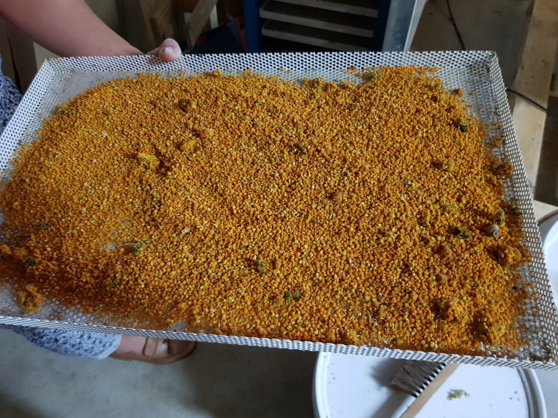 Dried pollen
