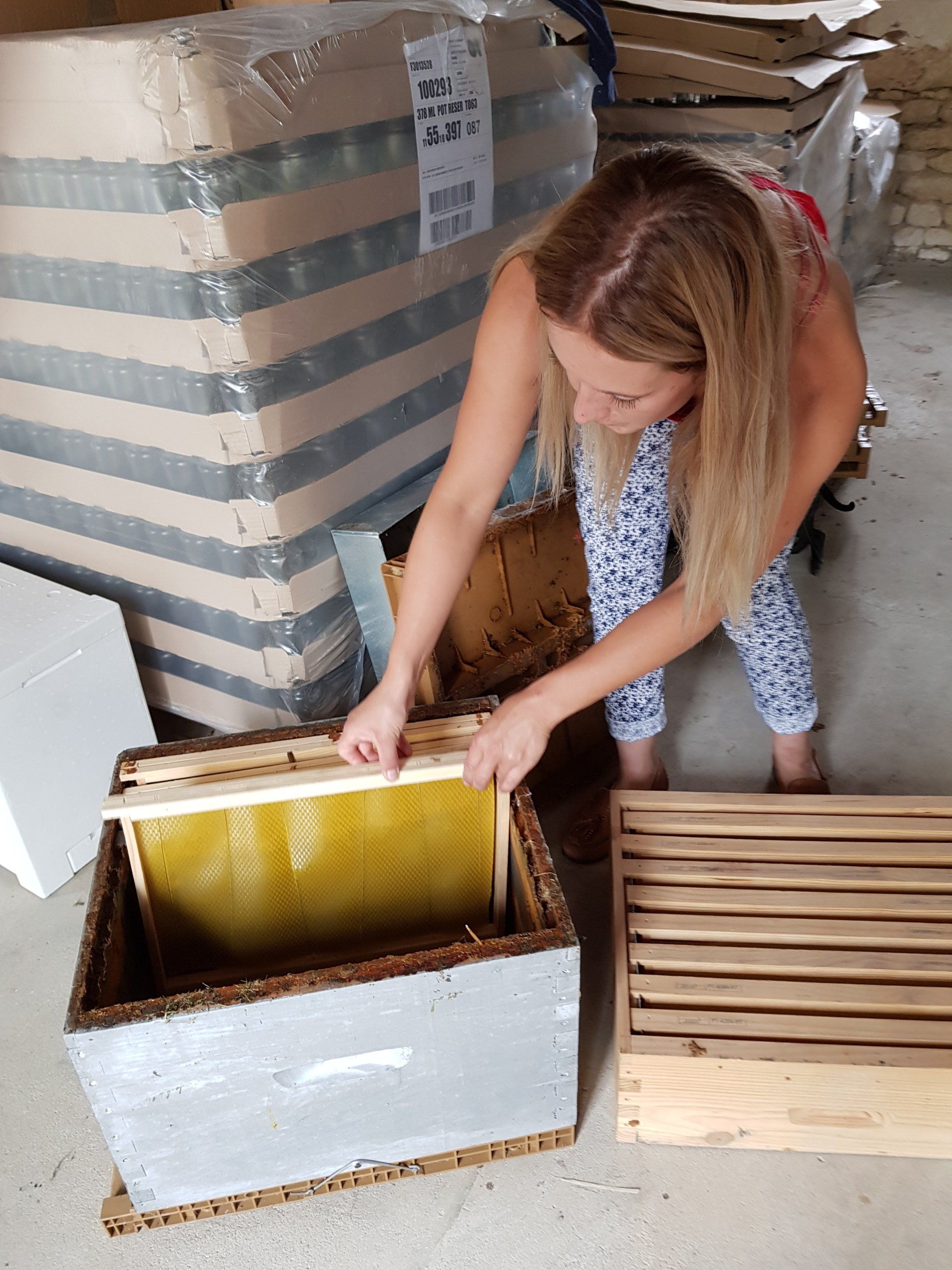 Estelle miel d'elle shows the inside of a hive