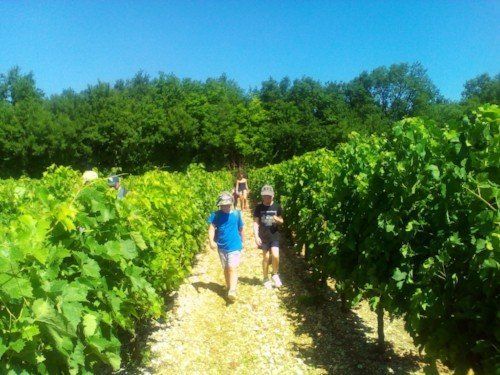 vine walk la grange du moulin