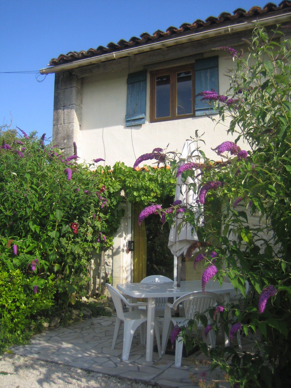 holiday cottage with green shutters and a vine over the glass doorway