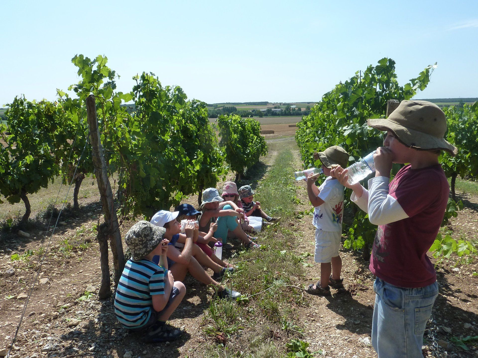 enfants assis à côté de vignes dans un vignoble