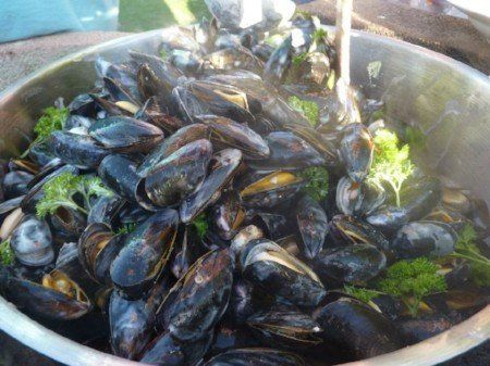 mussels