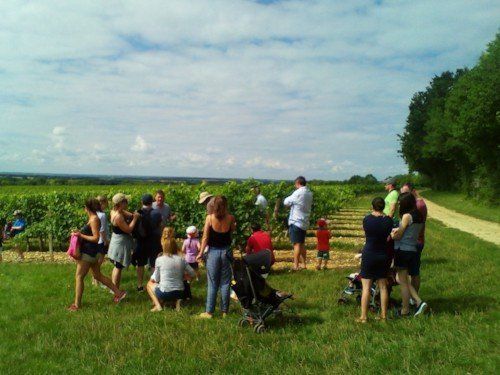 vineyard walk la grange du moulin
