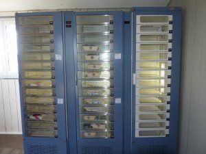 Gillardeau oyster vending machine