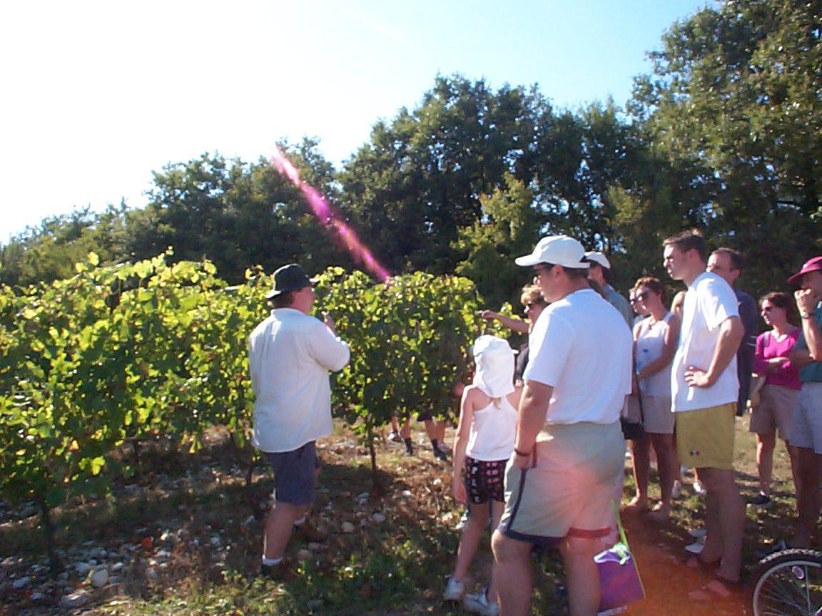Vineyard talk by Chris at Erics Vines