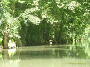 marais poitevin