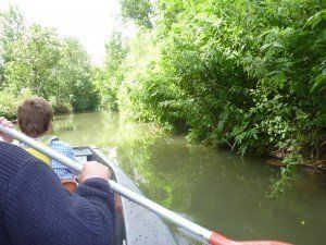marais poitevin