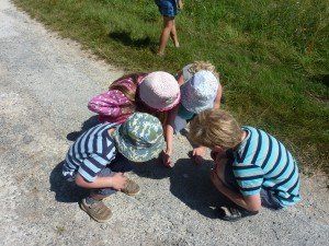four children crouching down to look at a grasshopper