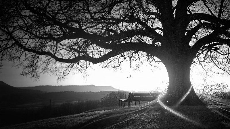 Utah Life and Retirement Services tree of life