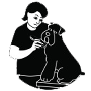 lavaggio