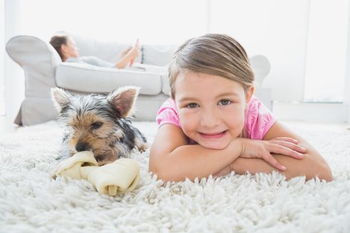 Carpet Cleaning College Station & Bryan, TX