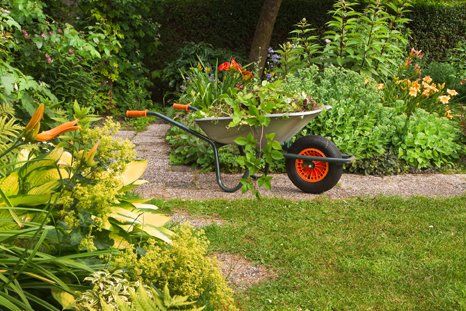 garden maintenance services