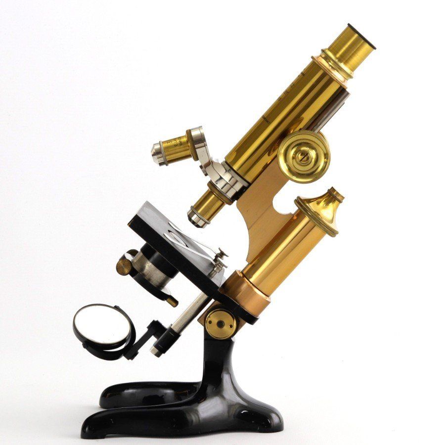 marine collectables