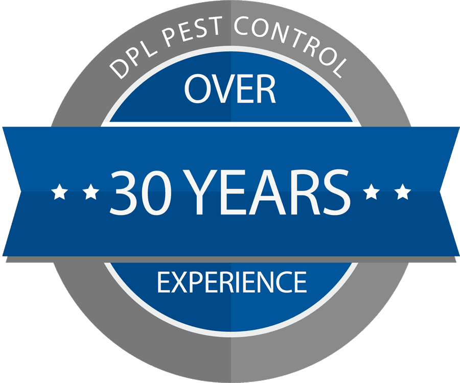 over 30 years experience