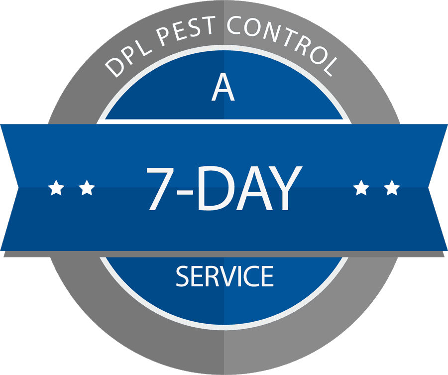 seven day service icon