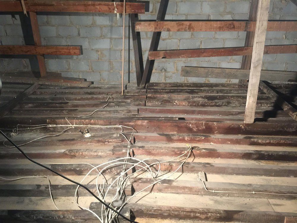 attic pigeon removal before