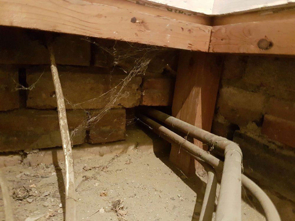 rat proofing before
