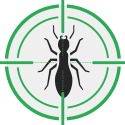 icon of termite with target symbol over it
