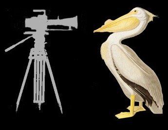Matthew Aeberhard Filmmaker