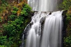 Waterfall with Trees Waterfall with Trees