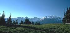 Olympic range with water and trees