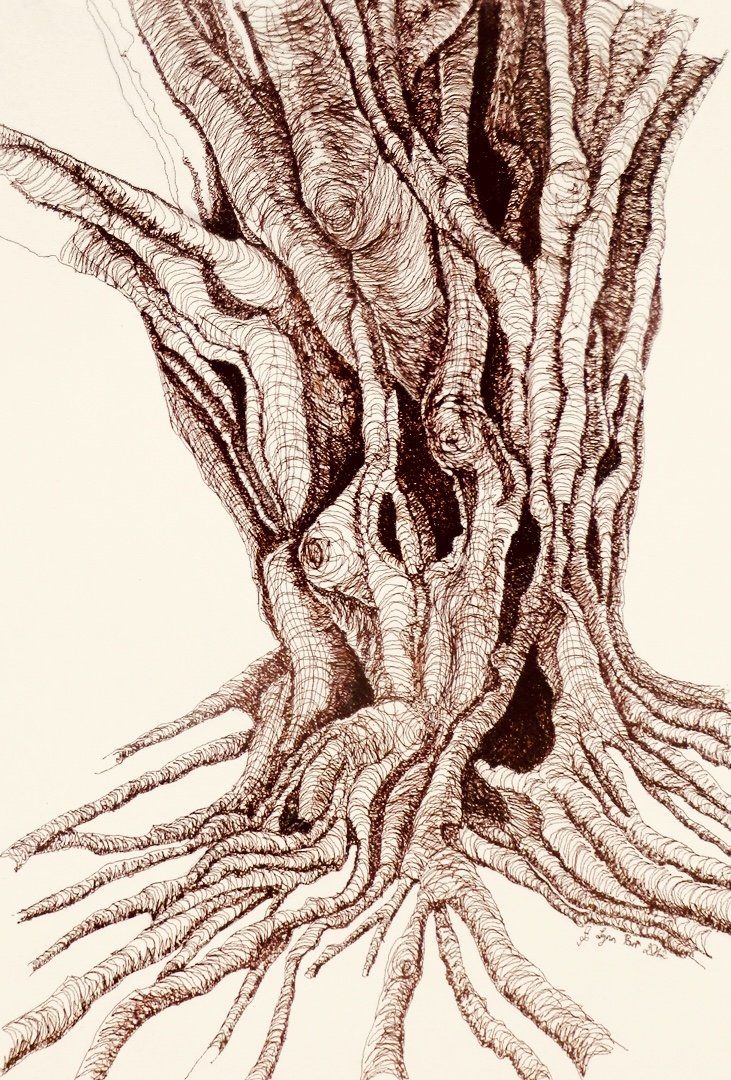 lynn_parr_yew