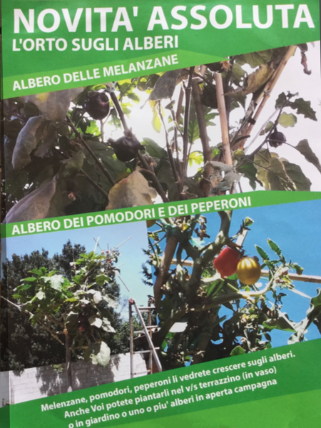 l'orto sugli alberi