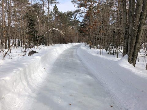 Winter Activities